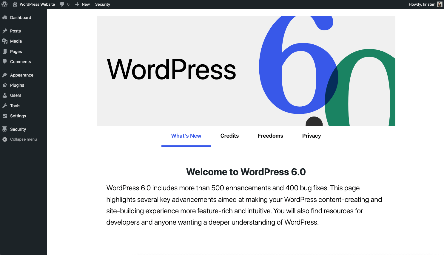 WordPress 6.0